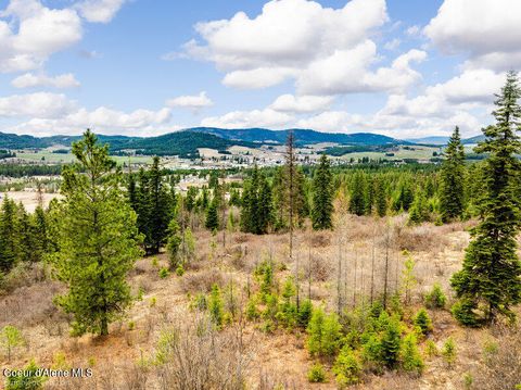 Vacant Land For Sale - 497 Thimbleberry Lane Lane<br/> Plummer, ID 83851