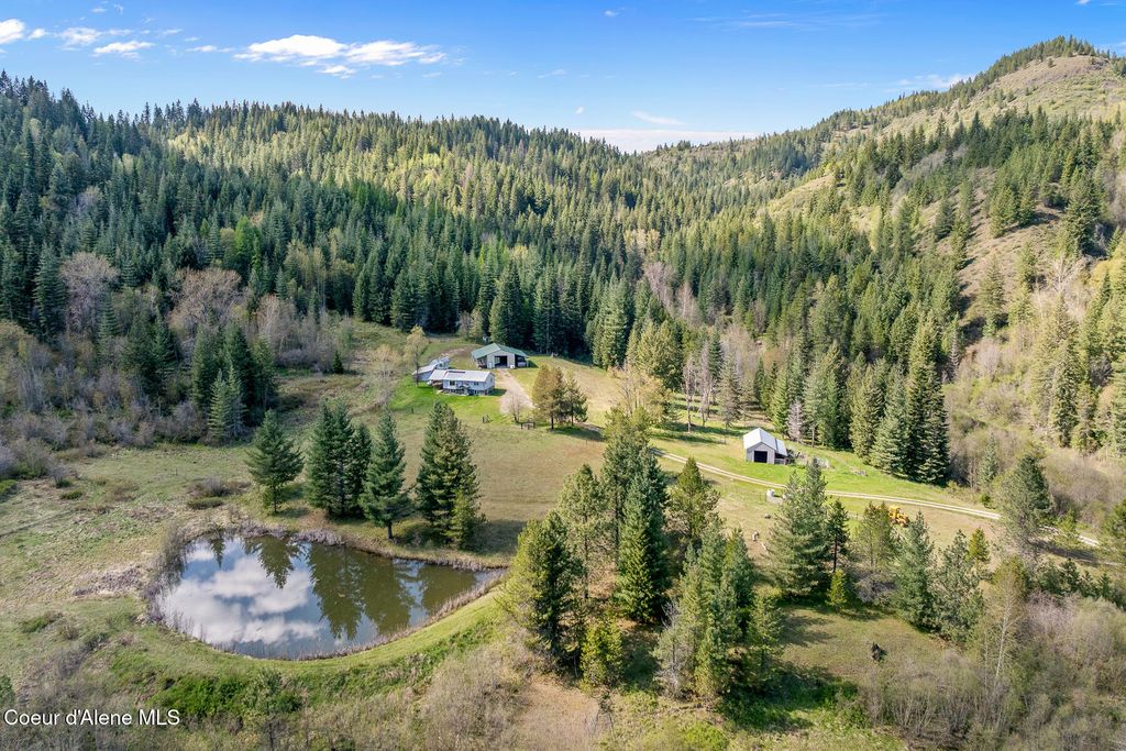 Photo of 1791 Pup Paw Trl #94.5 Acres, Priest River, ID 83856 (MLS # 26-4293)
