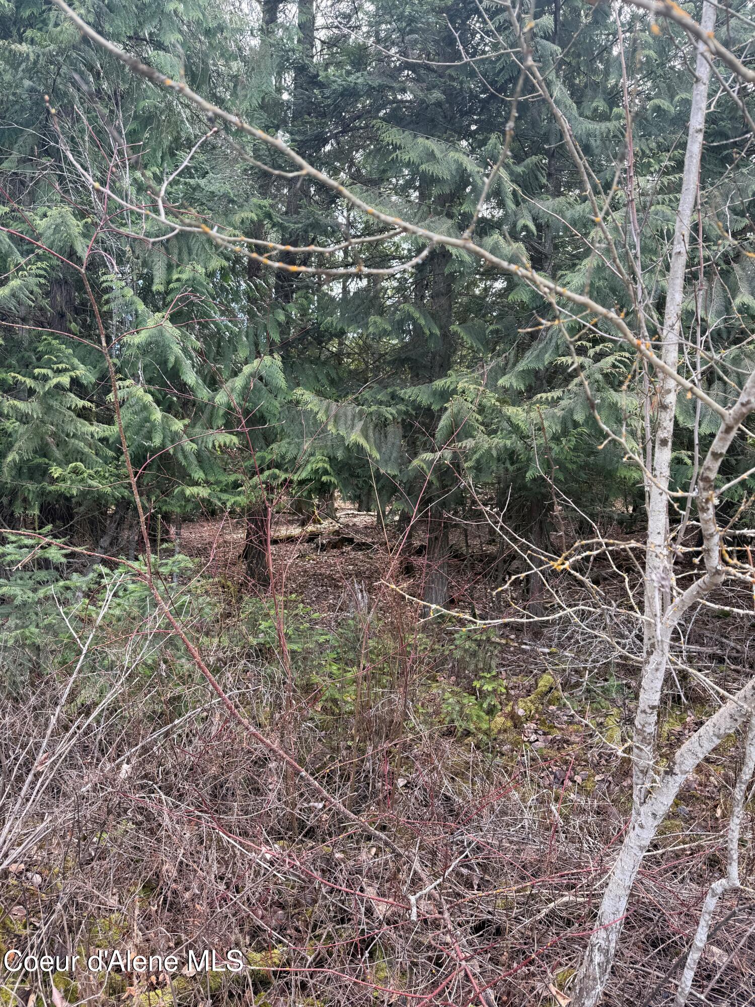 148 N Cottonwood Ln, Priest River, Idaho image 39