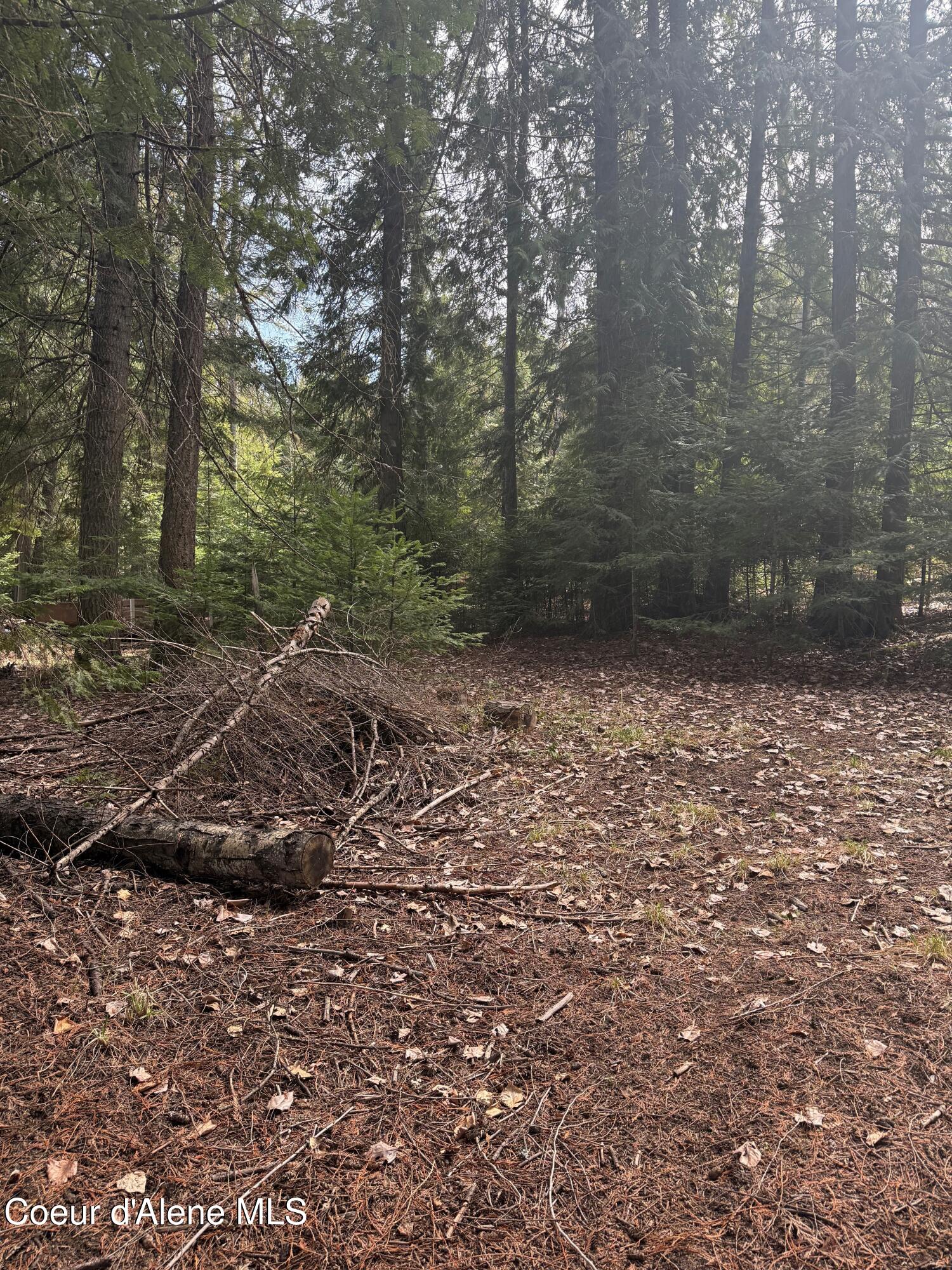 148 N Cottonwood Ln, Priest River, Idaho image 11