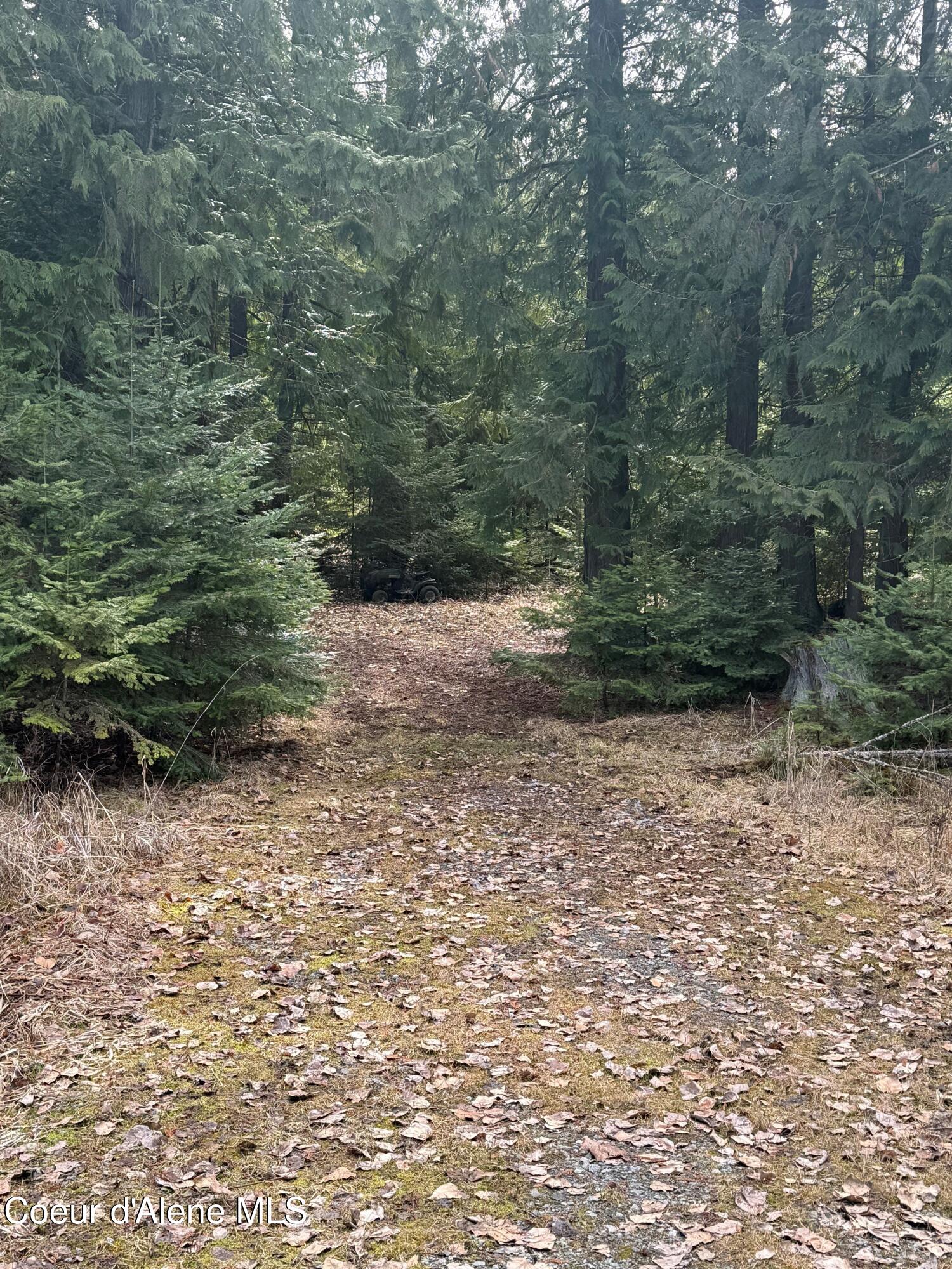 148 N Cottonwood Ln, Priest River, Idaho image 8