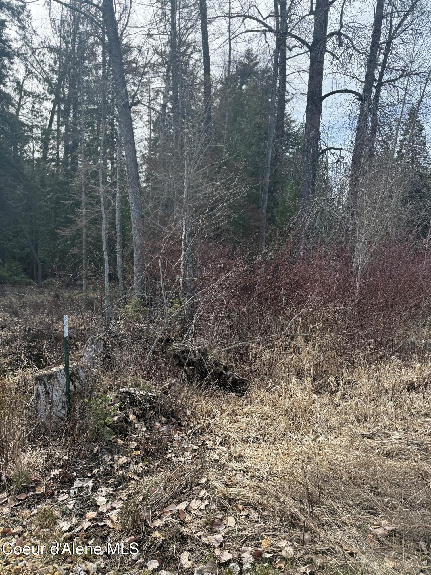 148 N Cottonwood Ln, Priest River, Idaho image 37