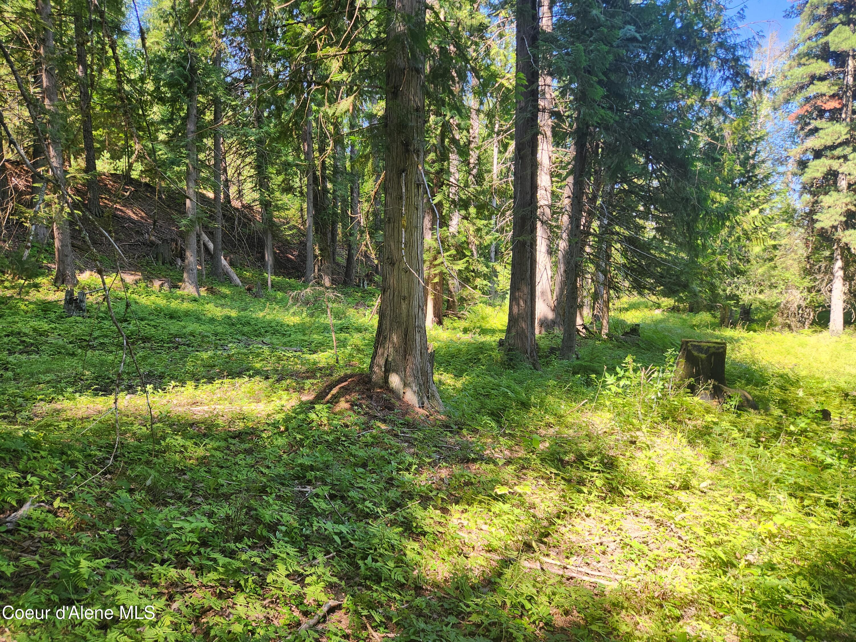 Reserve Ln, Sandpoint, Idaho image 19