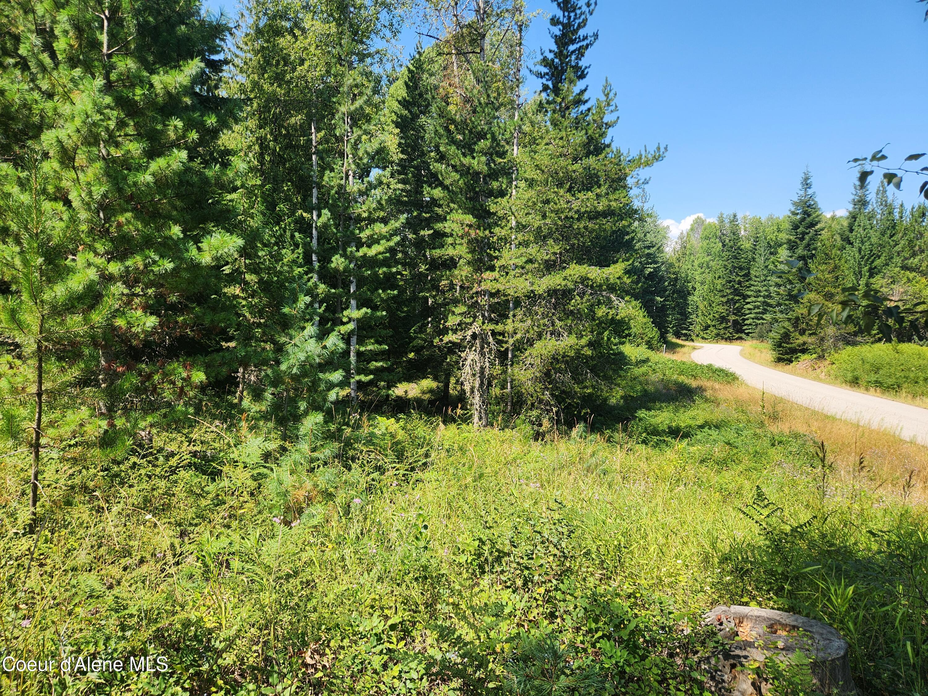 Reserve Ln, Sandpoint, Idaho image 1