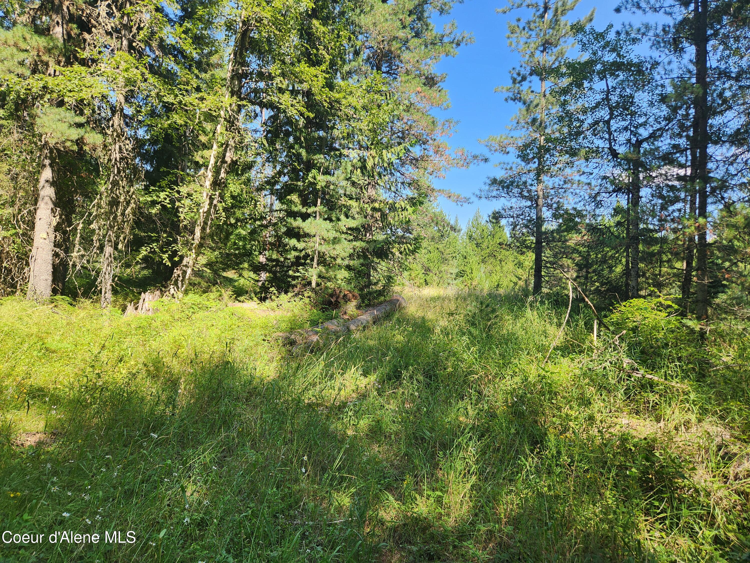 Reserve Ln, Sandpoint, Idaho image 25