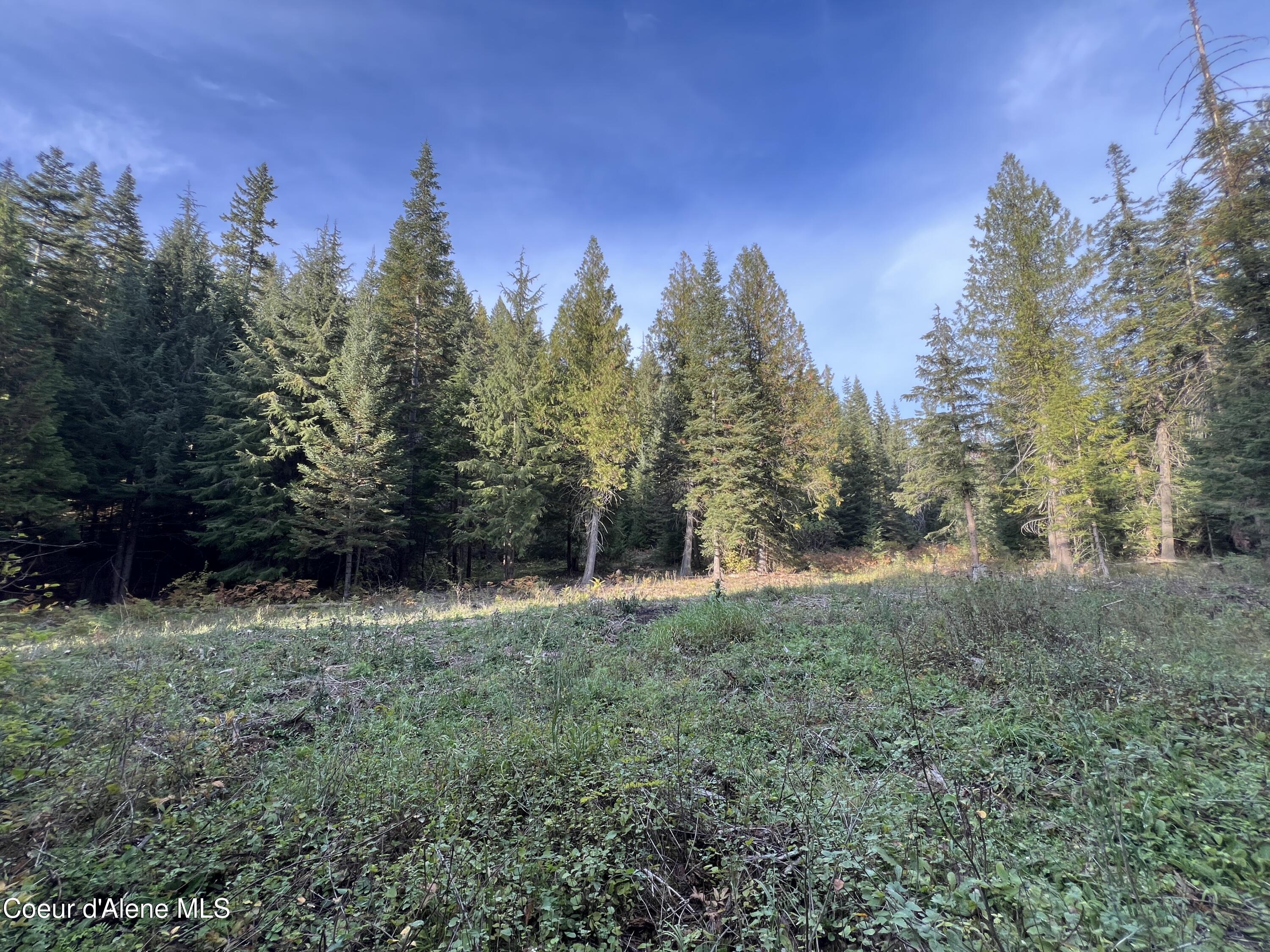 Lot 8 Bear Creek, Kingston, Idaho image 6