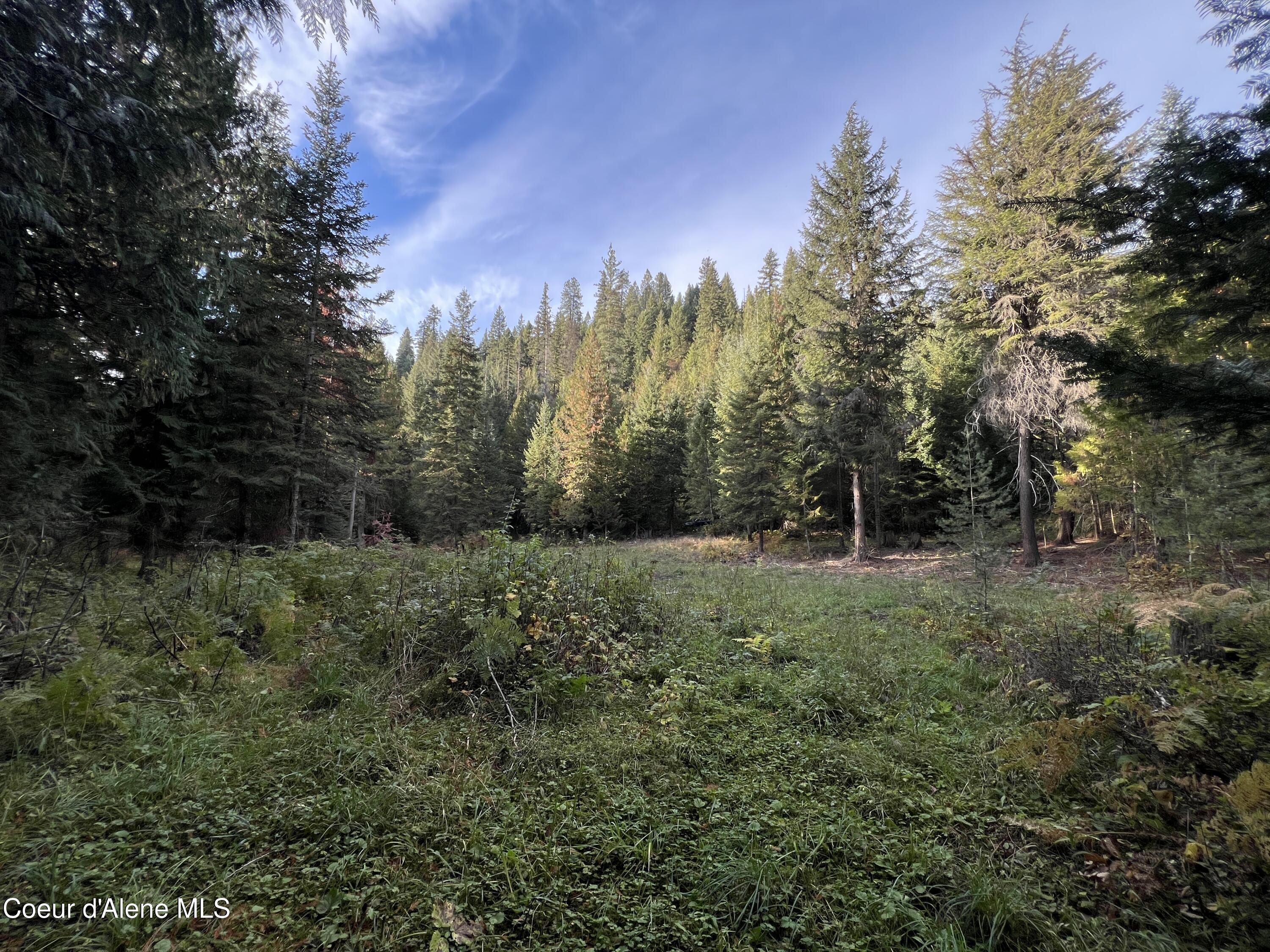 Lot 8 Bear Creek, Kingston, Idaho image 8