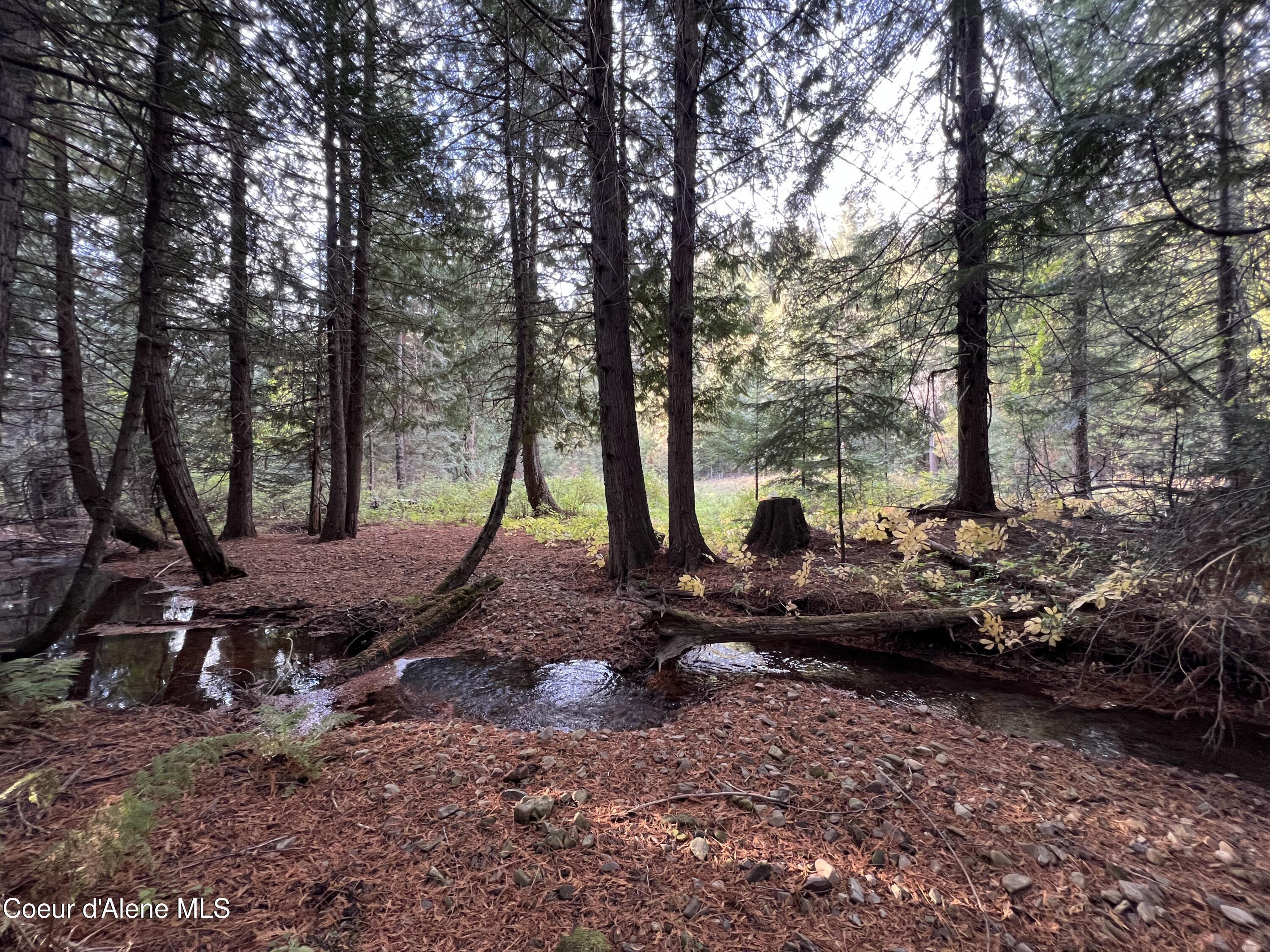 Lot 8 Bear Creek, Kingston, Idaho image 11