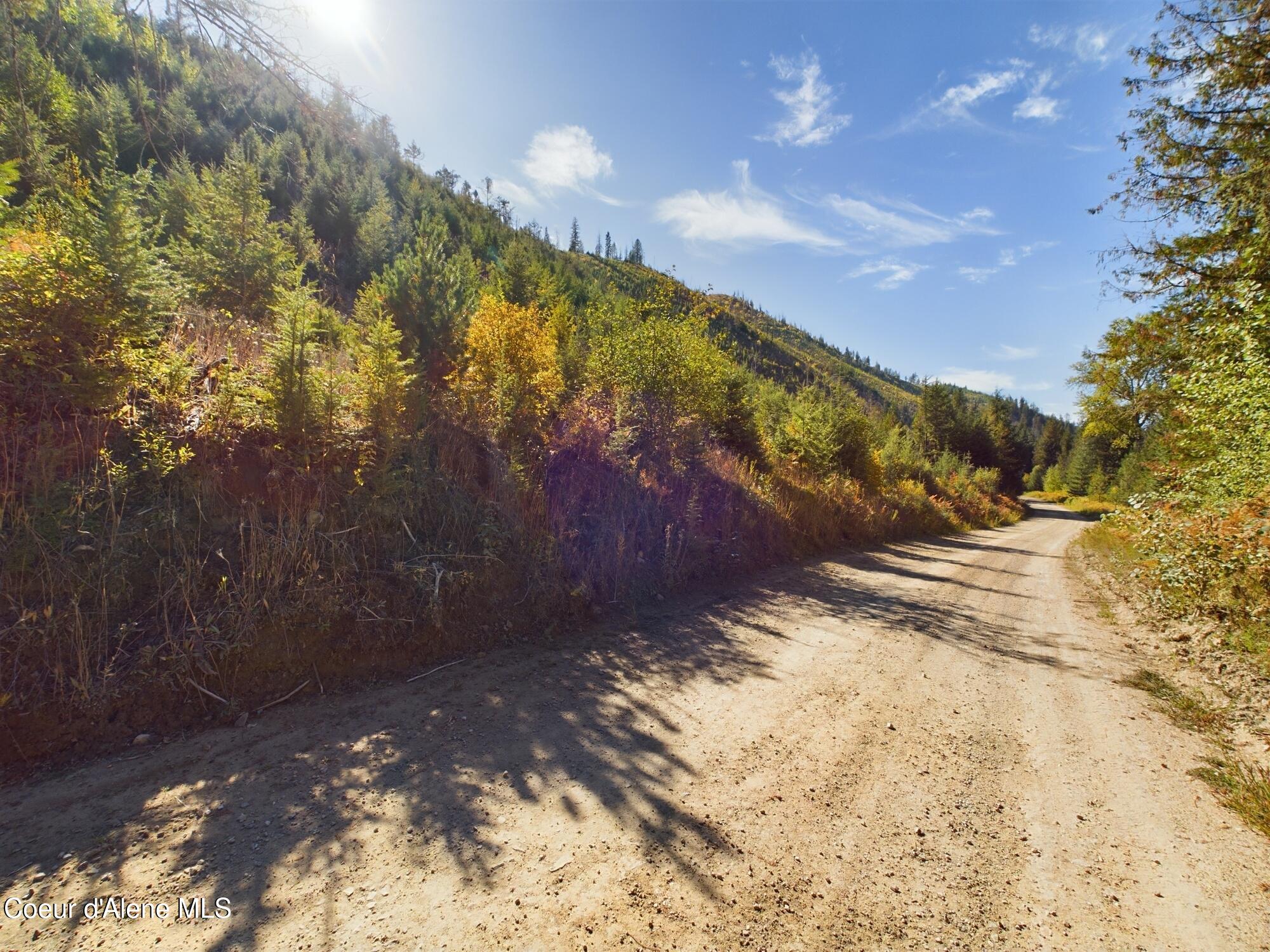 Lot 8 Bear Creek, Kingston, Idaho image 4