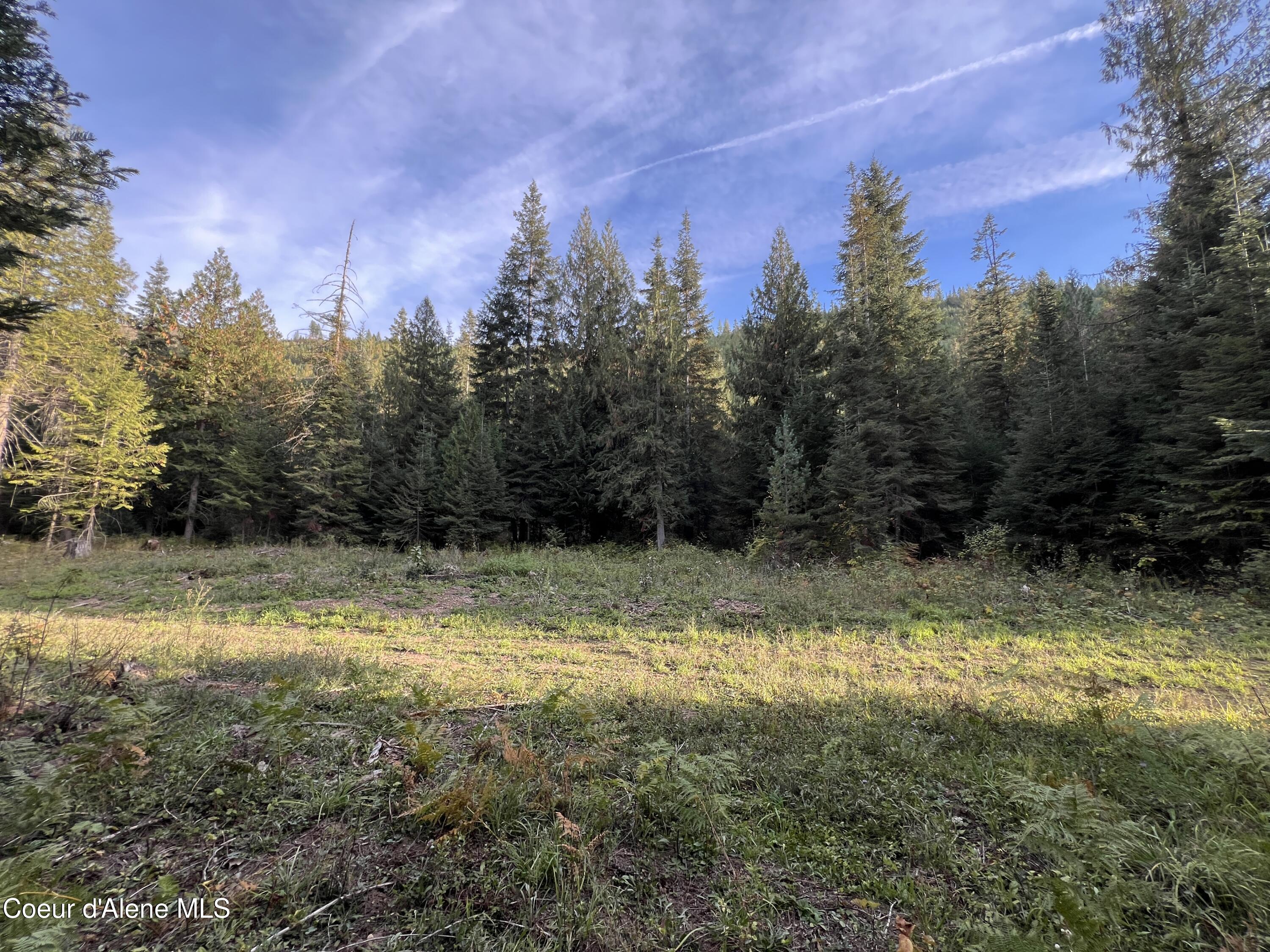 Lot 8 Bear Creek, Kingston, Idaho image 2