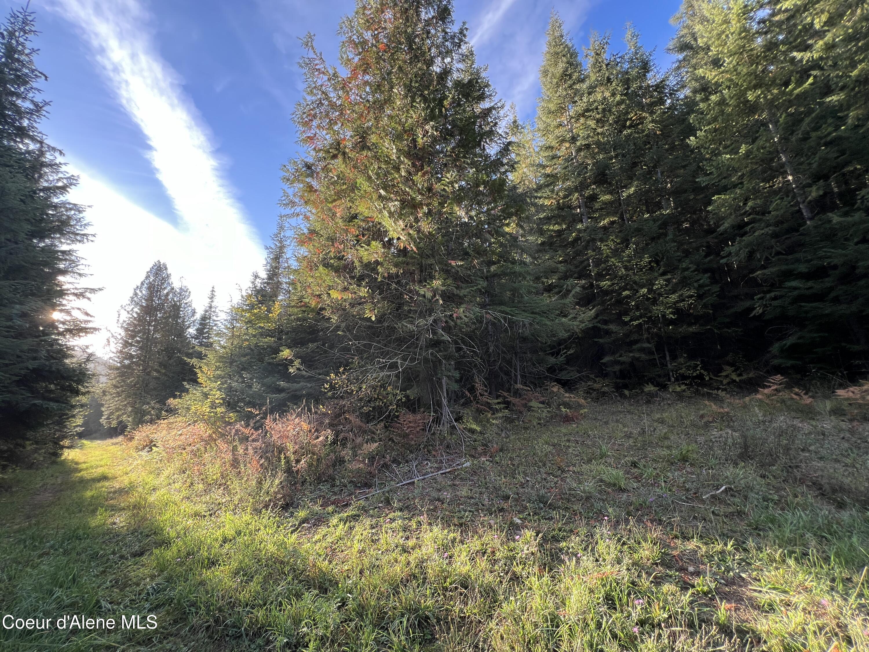 Lot 8 Bear Creek, Kingston, Idaho image 13