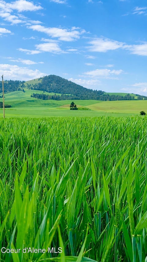 Vacant Land For Sale - 783 Old Mills Mills<br/> Benewah County, Desmet, ID 83824