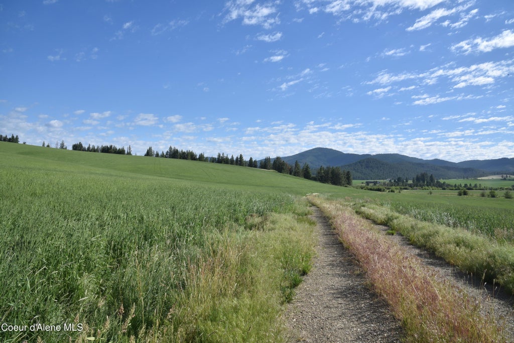 Photo of NNA Sanders, Tensed, ID 83870 (MLS # 26-7649)