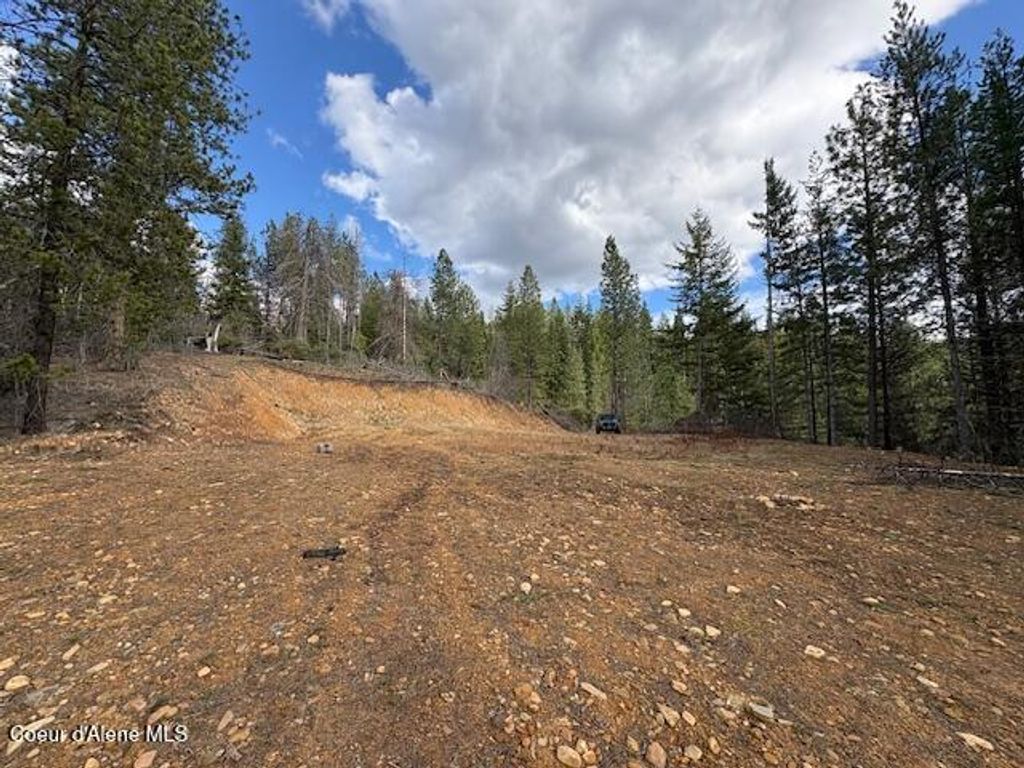 Photo of Fork French Gulch, Kingston, ID 83839 (MLS # 26-3038)