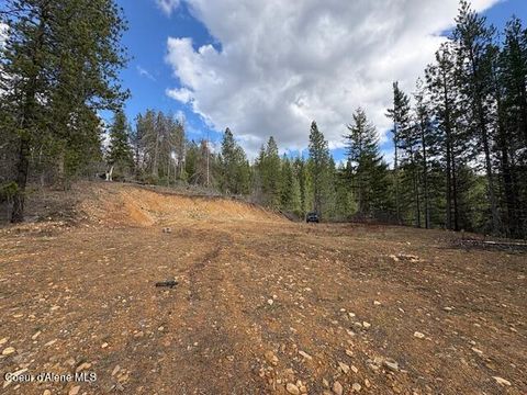 Vacant Land For Sale - Fork French Gulch<br/> Kingston, ID 83839