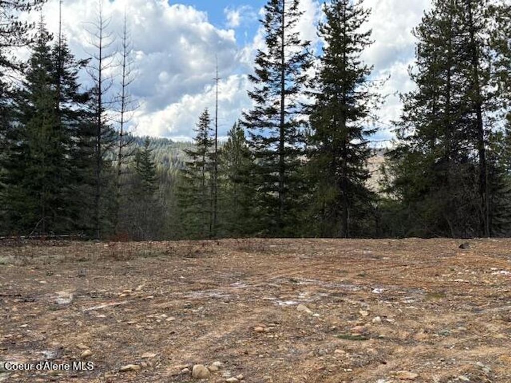 Photo of Fork French Gulch, Kingston, ID 83839 (MLS # 26-3038)