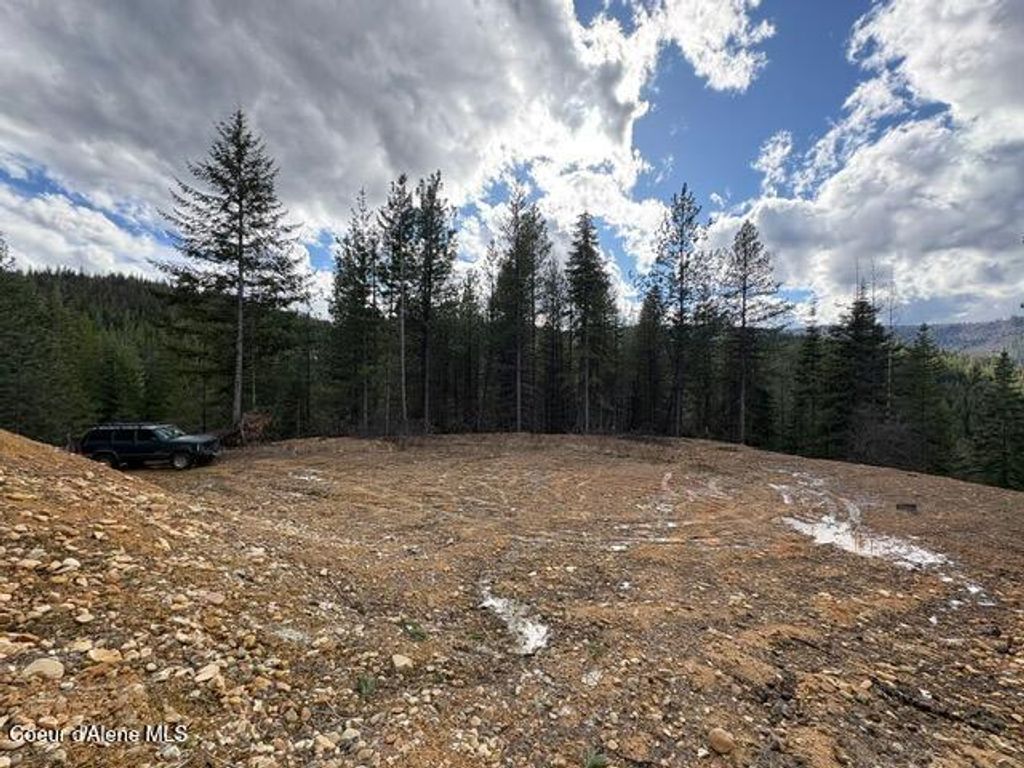 Photo of Fork French Gulch, Kingston, ID 83839 (MLS # 26-3038)