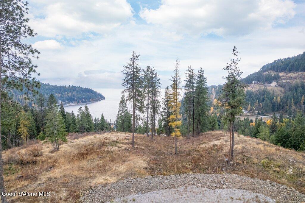 NNA Red Hawk Landing Lot 2, Sagle, Idaho image 8