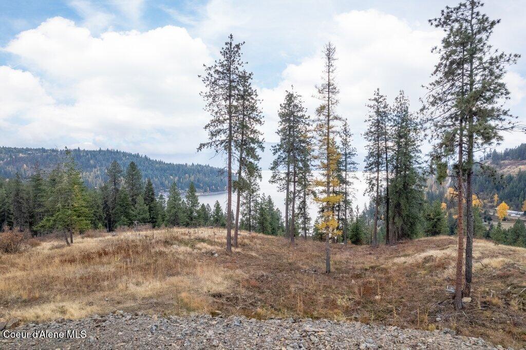 NNA Red Hawk Landing Lot 2, Sagle, Idaho image 7