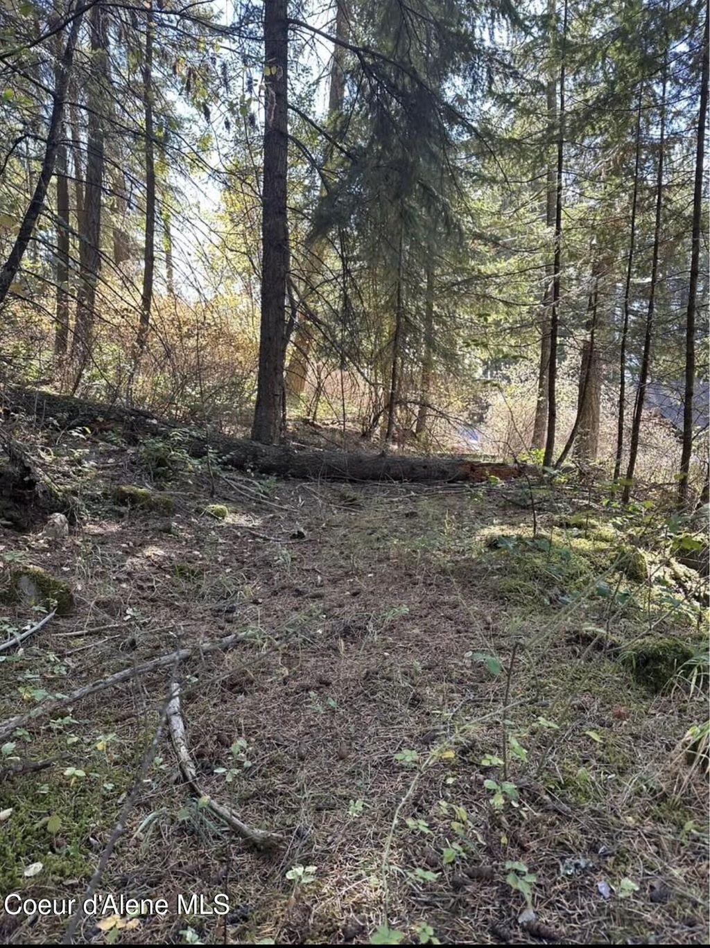 Photo of S HWY 97, Harrison, ID 83833 (MLS # 25-10962)