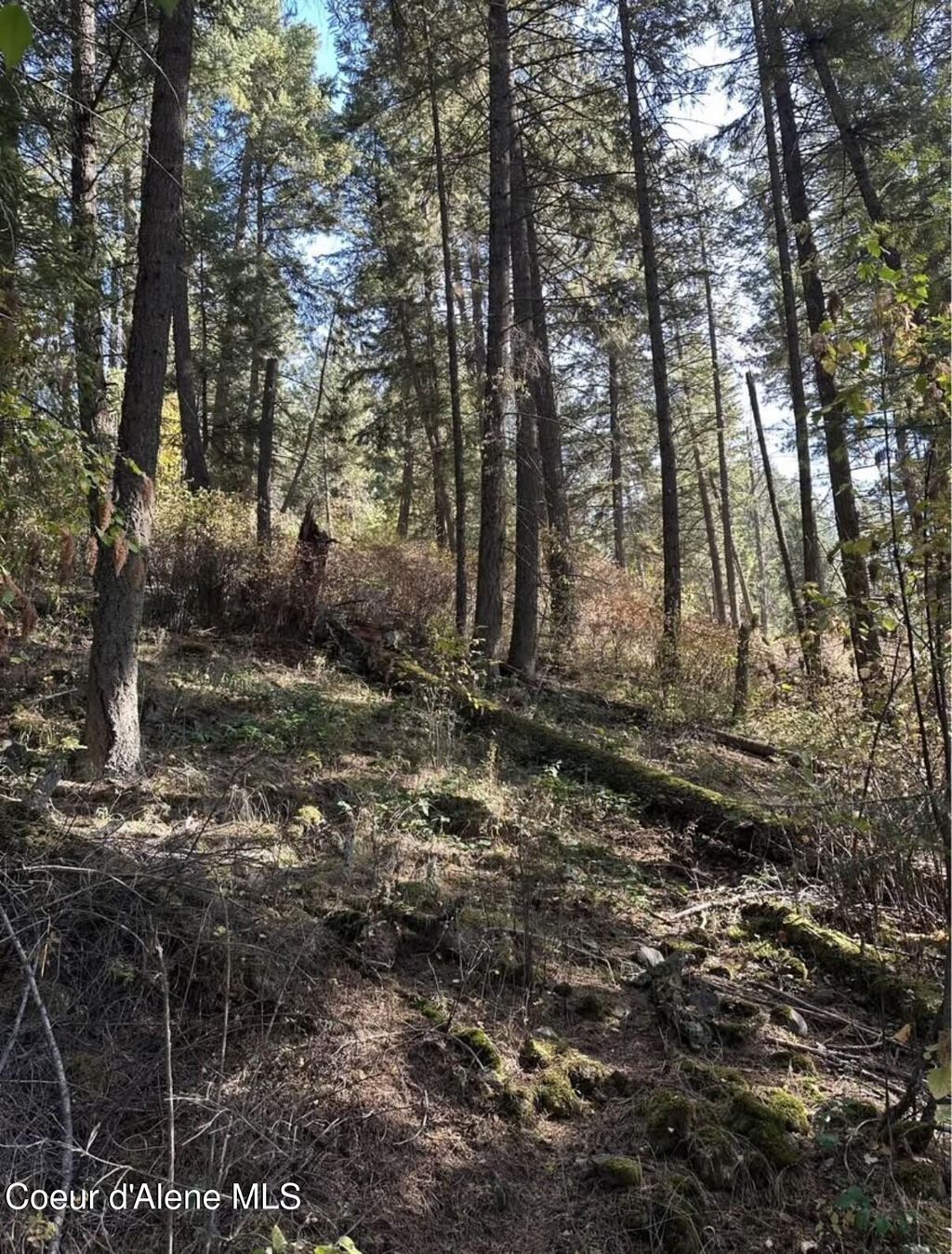 Photo of S HWY 97, Harrison, ID 83833 (MLS # 25-10962)