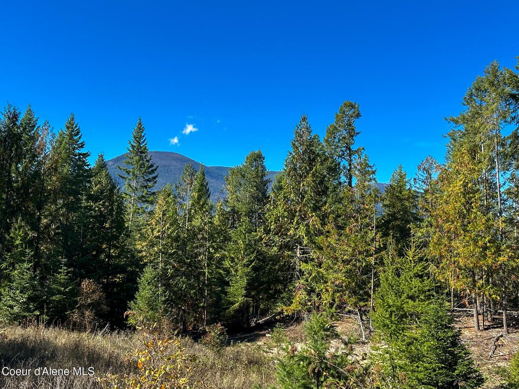 Photo of NNA Turner Hill Rd Rd, Bonners Ferry, ID 83805 (MLS # 25-10228)
