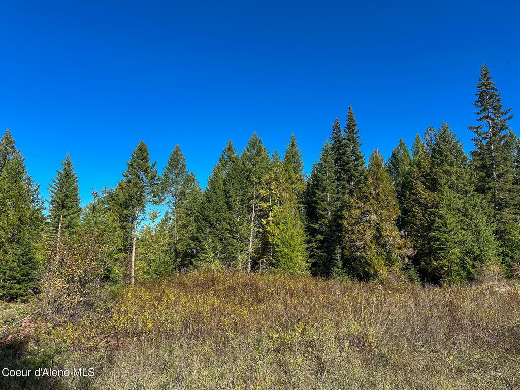 Photo of NNA Turner Hill Rd Rd, Bonners Ferry, ID 83805 (MLS # 25-10228)