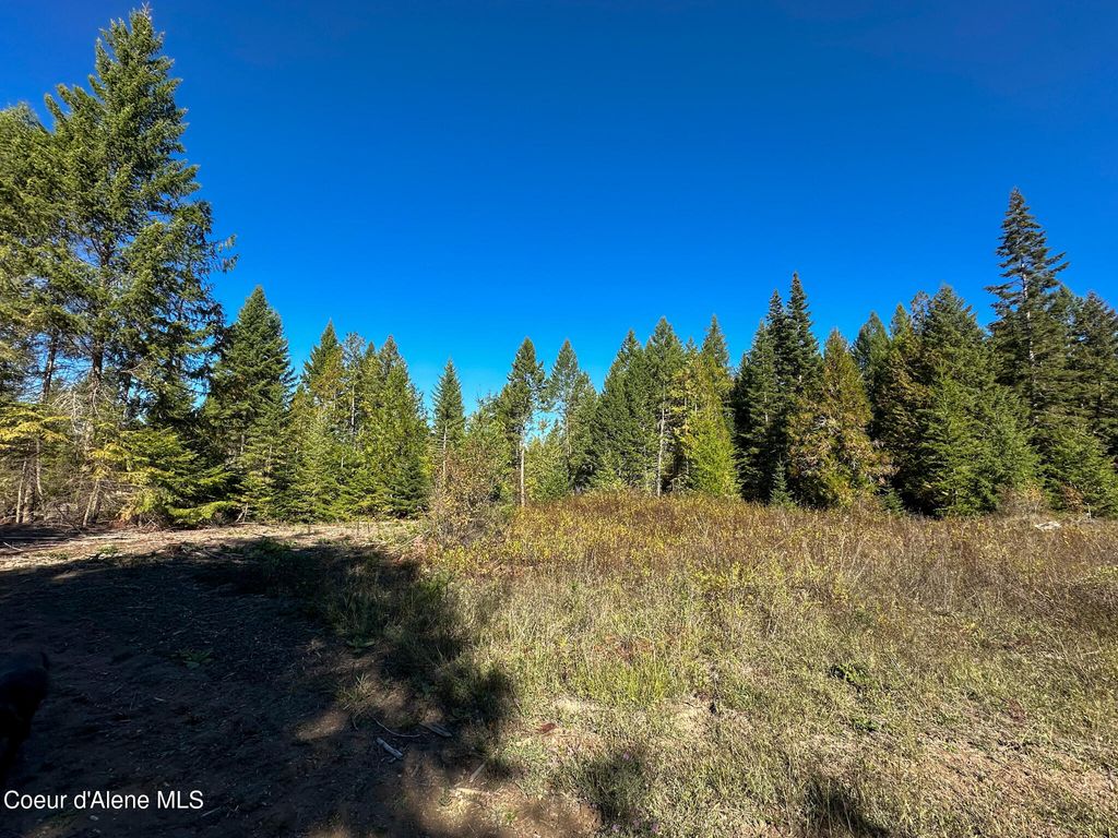 Photo of NNA Turner Hill Rd Rd, Bonners Ferry, ID 83805 (MLS # 25-10228)