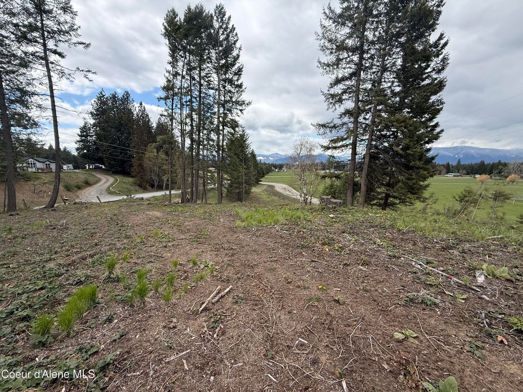 Photo of NKA Blue Sky, Bonners Ferry, ID 83805 (MLS # 26-3701)