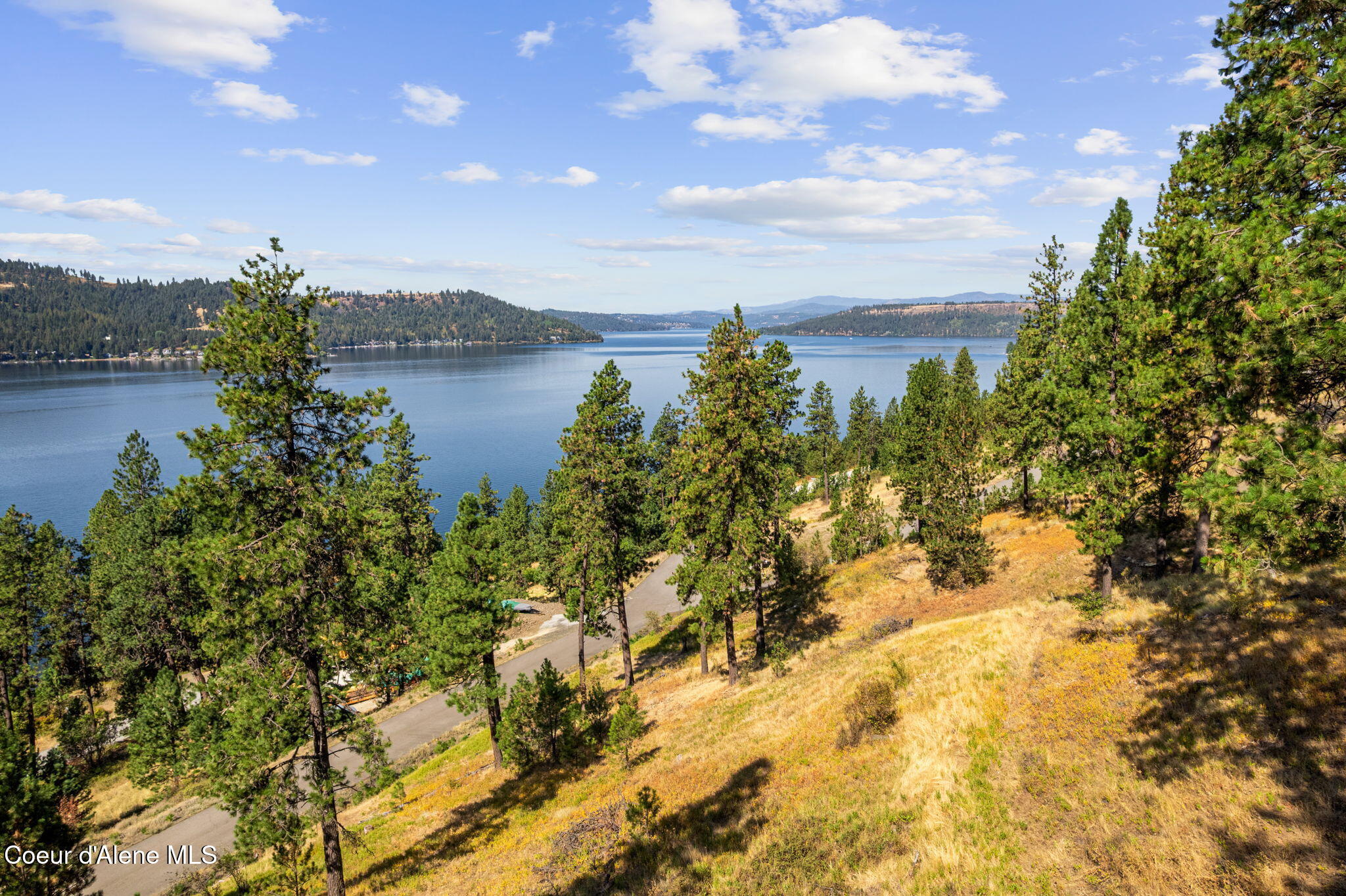 33-web-or-mls-Harrison Land-33