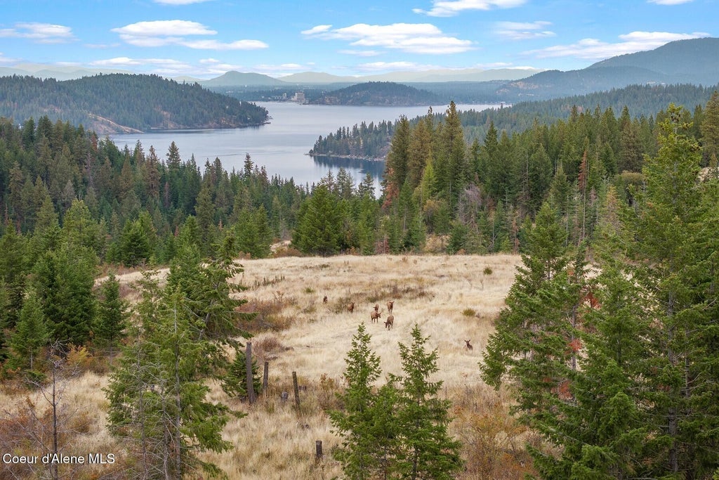 Photo of NNA Gotham Bay Rd Rd, Harrison, ID 83833 (MLS # 26-10469)