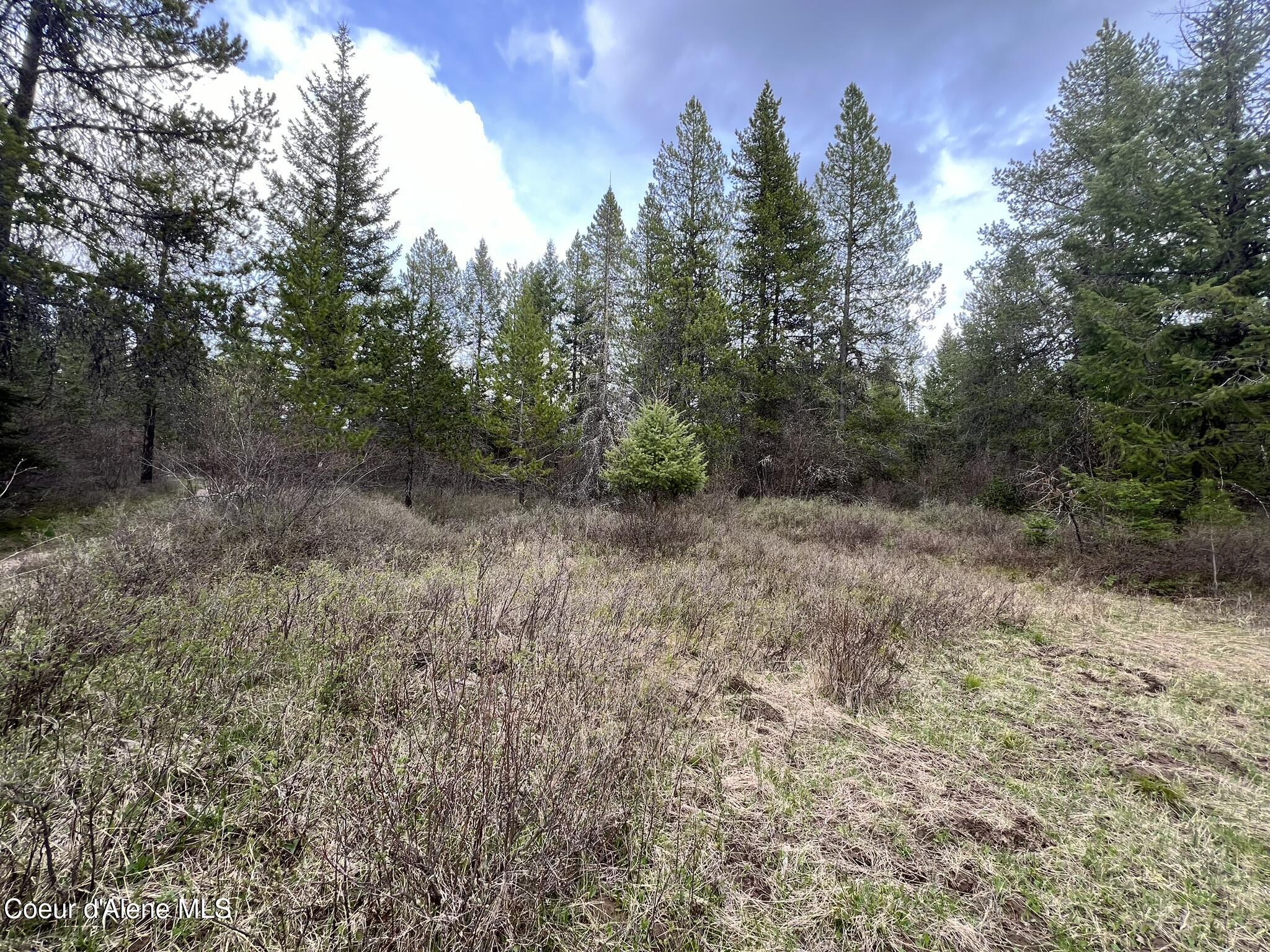 NKA Settlers Ln, St. Maries, Idaho image 2