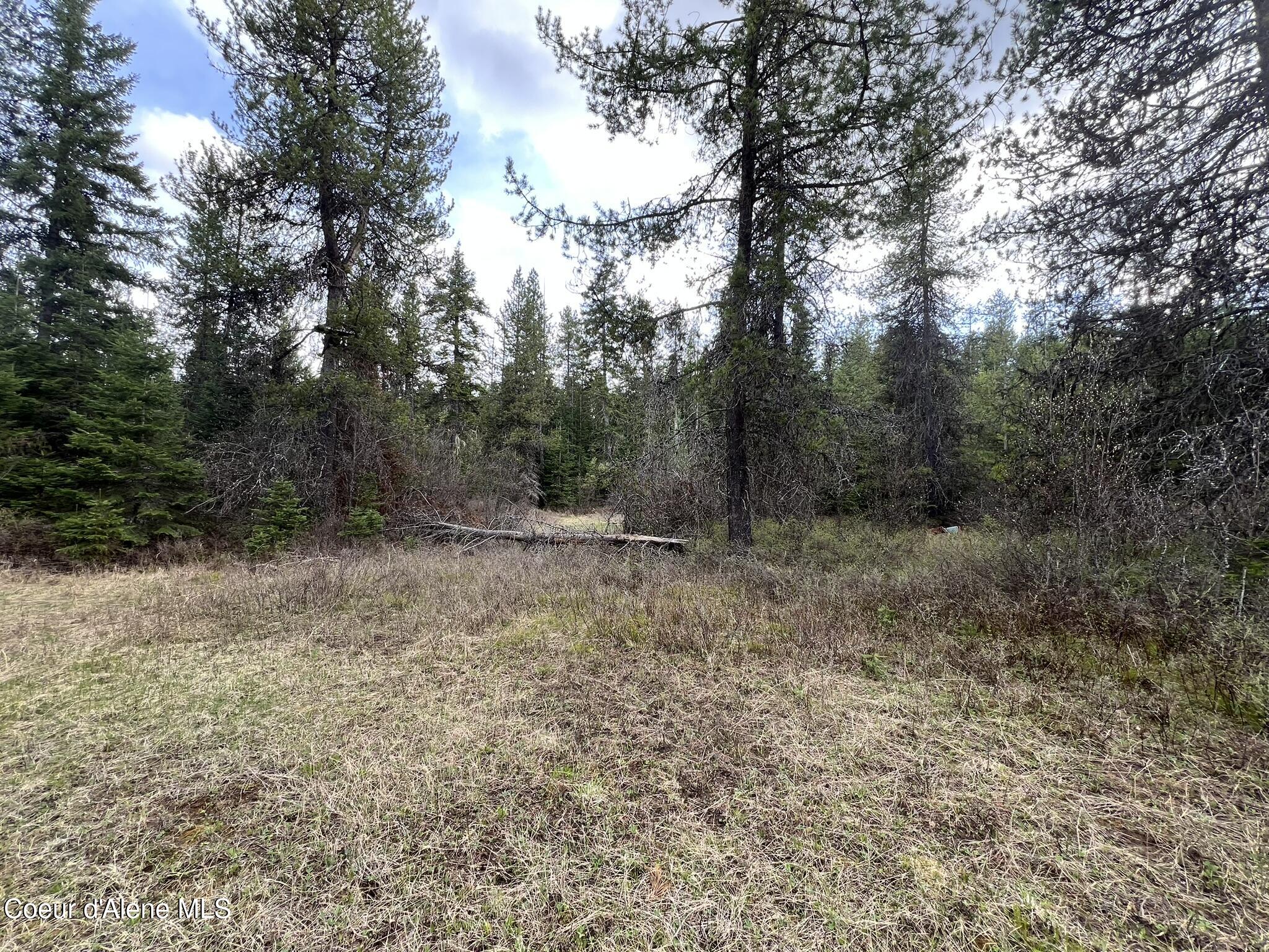 NKA Settlers Ln, St. Maries, Idaho image 1