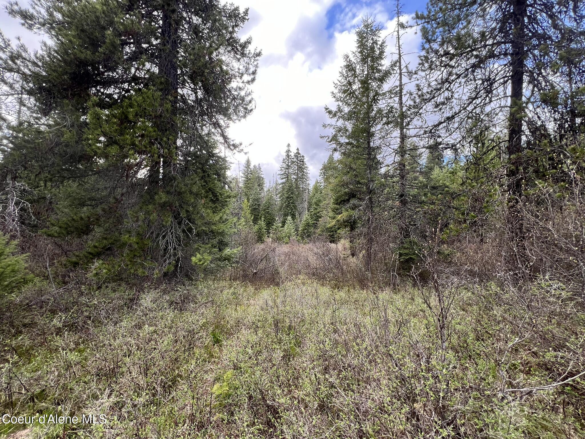NKA Settlers Ln, St. Maries, Idaho image 5