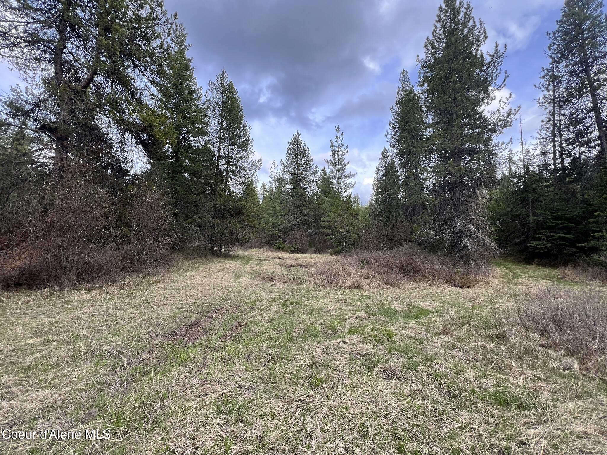 NKA Settlers Ln, St. Maries, Idaho image 6