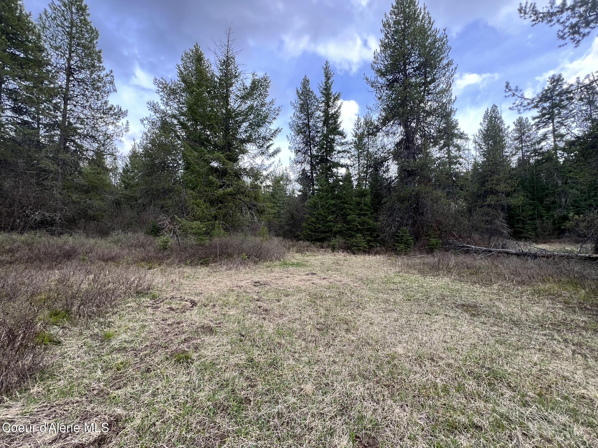 NKA Settlers Ln, St. Maries, Idaho image 3