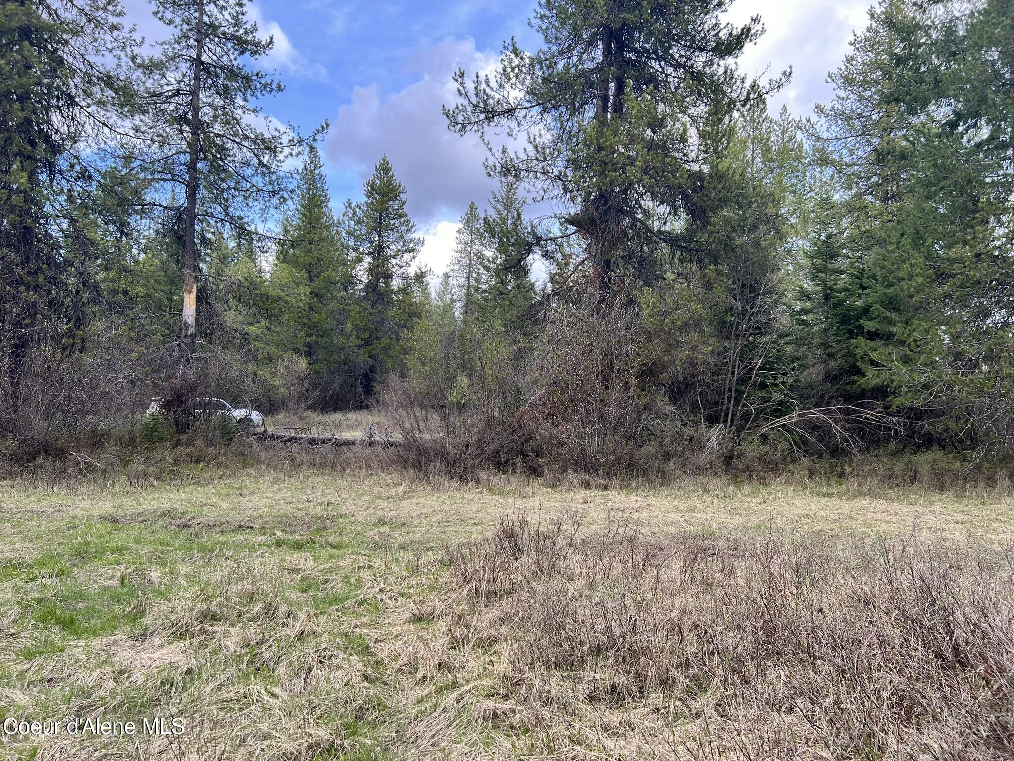 NKA Settlers Ln, St. Maries, Idaho image 9