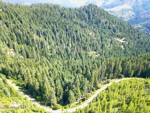 Vacant Land For Sale - 10AC Latour Creek Creek<br/> Cataldo, ID 83810