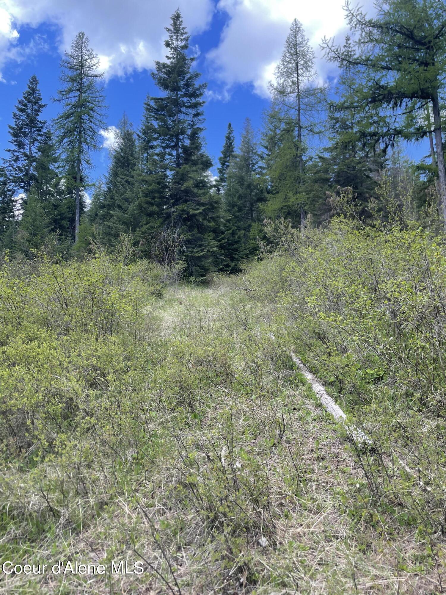 Old Railroad Grade, Plummer, Idaho image 19