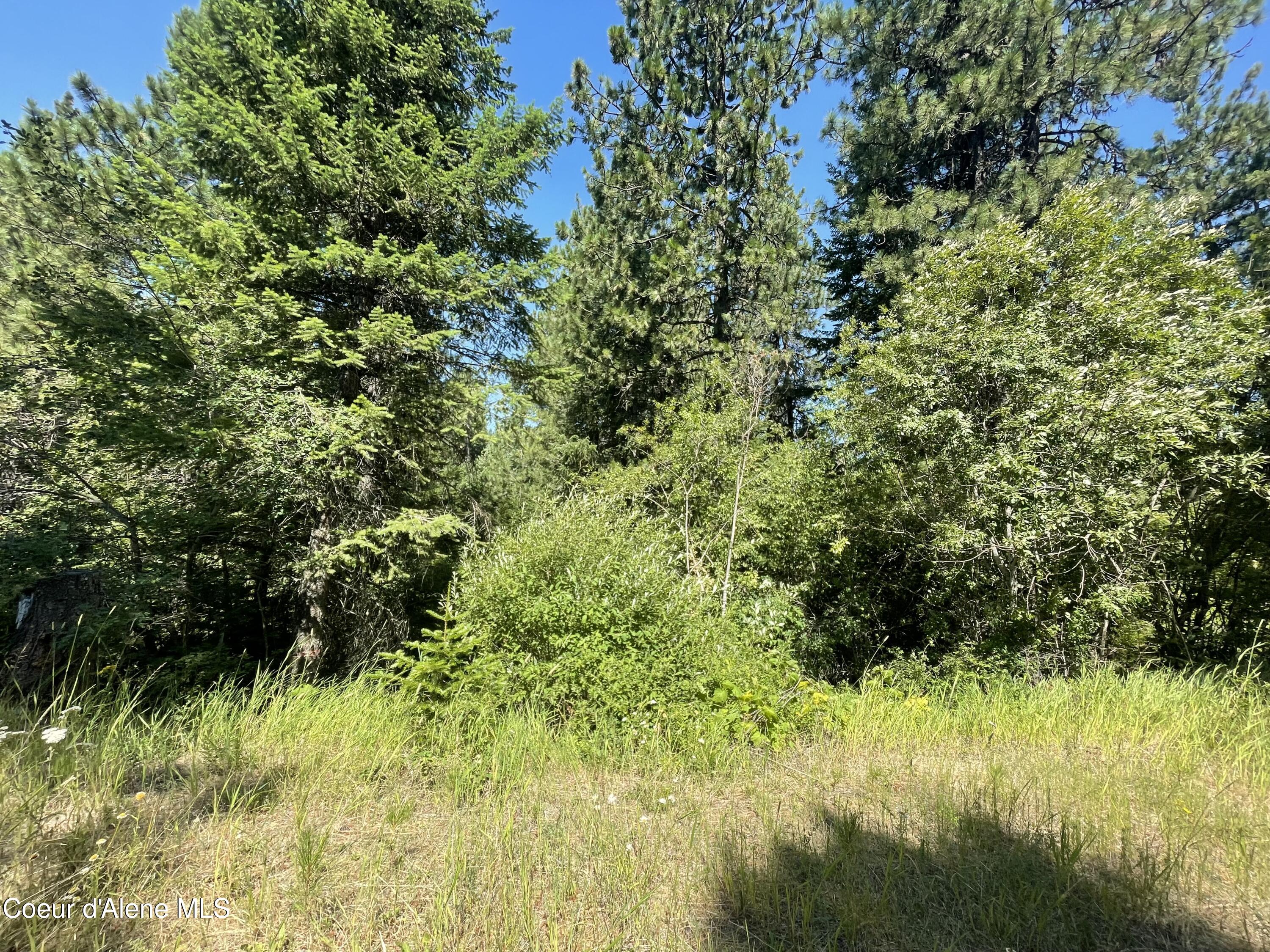 Old Railroad Grade, Plummer, Idaho image 10