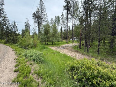 Vacant Land For Sale - NKA Parkside<br/> Plummer, ID 83851