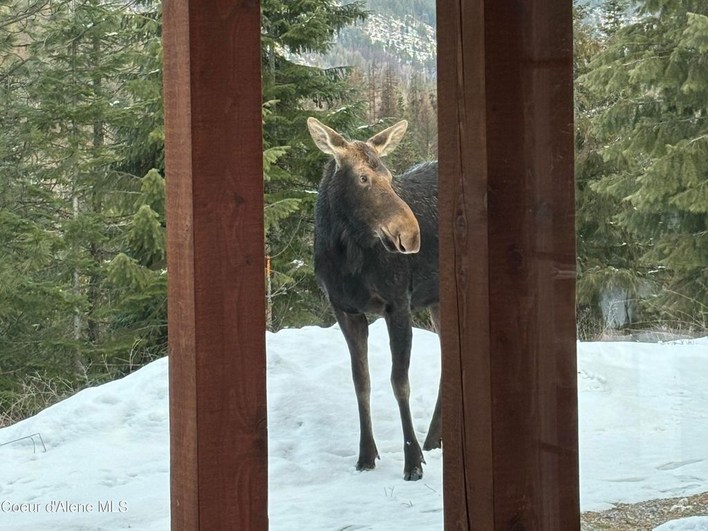 Photo of 778 B, Sandpoint, ID 83864 (MLS # 26-553)