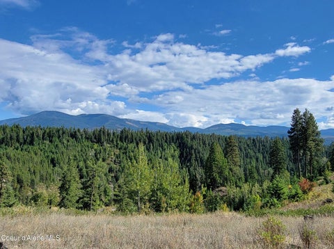 Vacant Land For Sale - NNA Falcon Ridge Dr Tract 11<br/> Boundary County, Naples, ID 83847