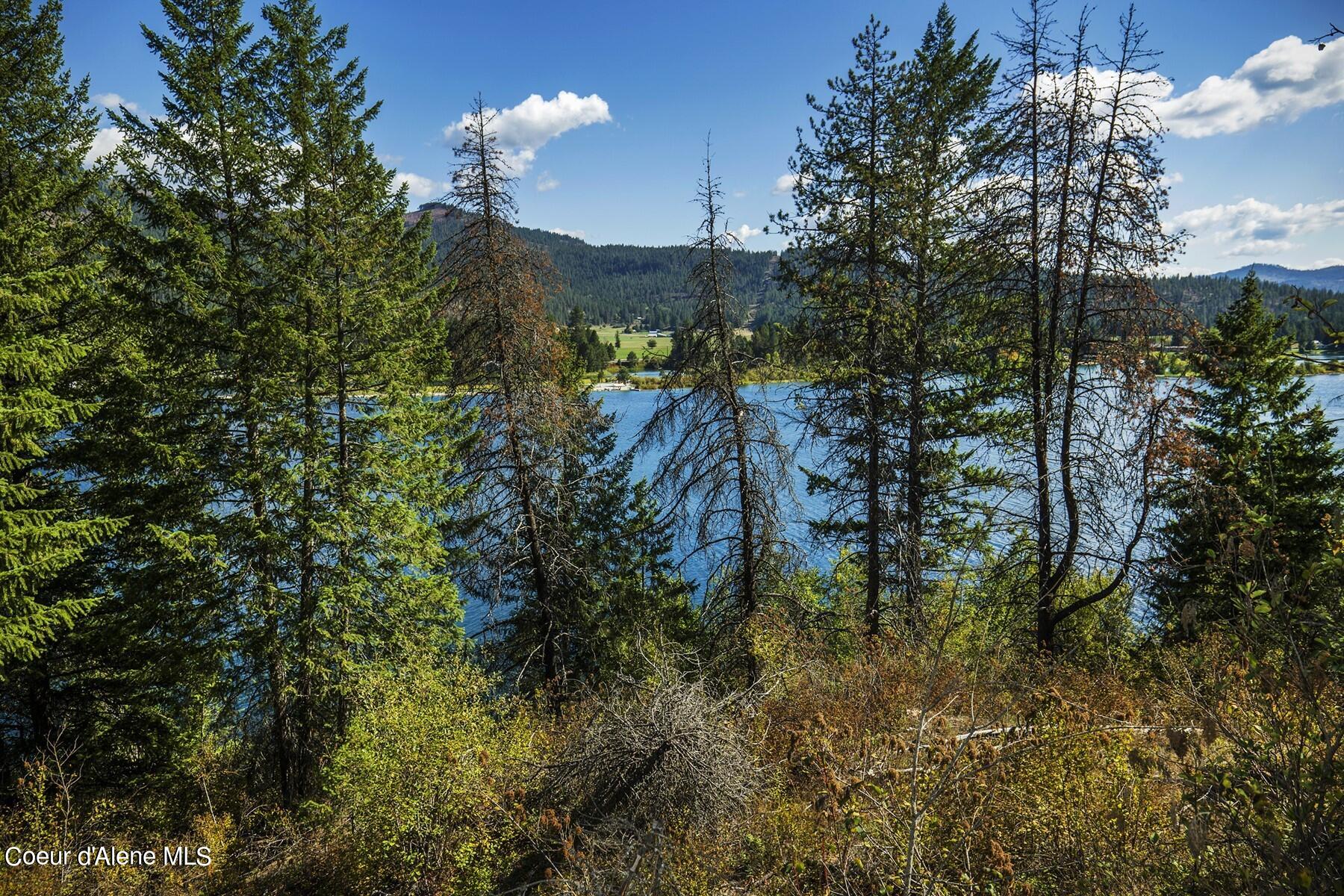 NKA Braden Ct, Priest River, Idaho image 37