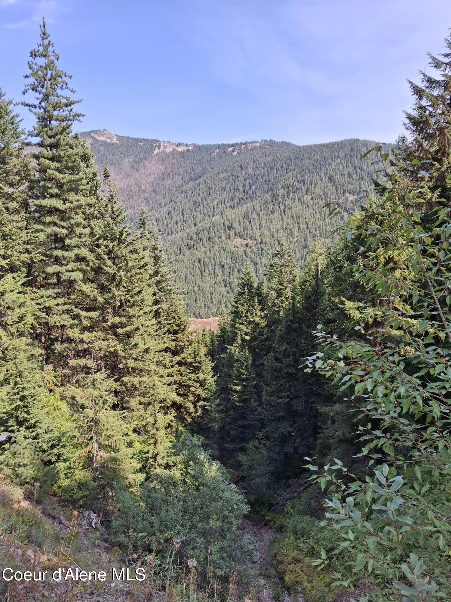 NKA Eagle Mining District, Murray, Idaho image 1