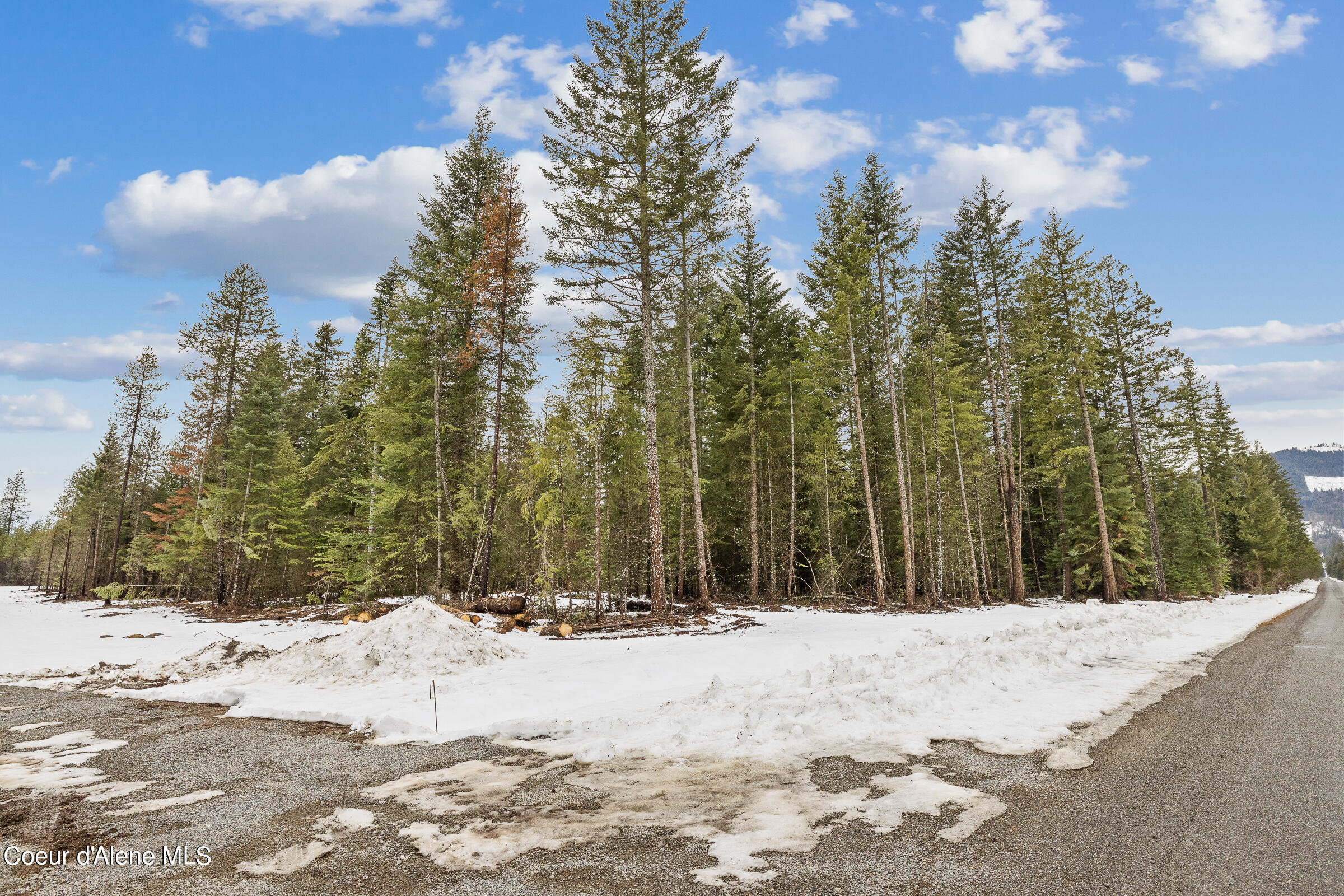 NKA W Sturgeon Rd Lot 4, Rathdrum, Alaska image 9