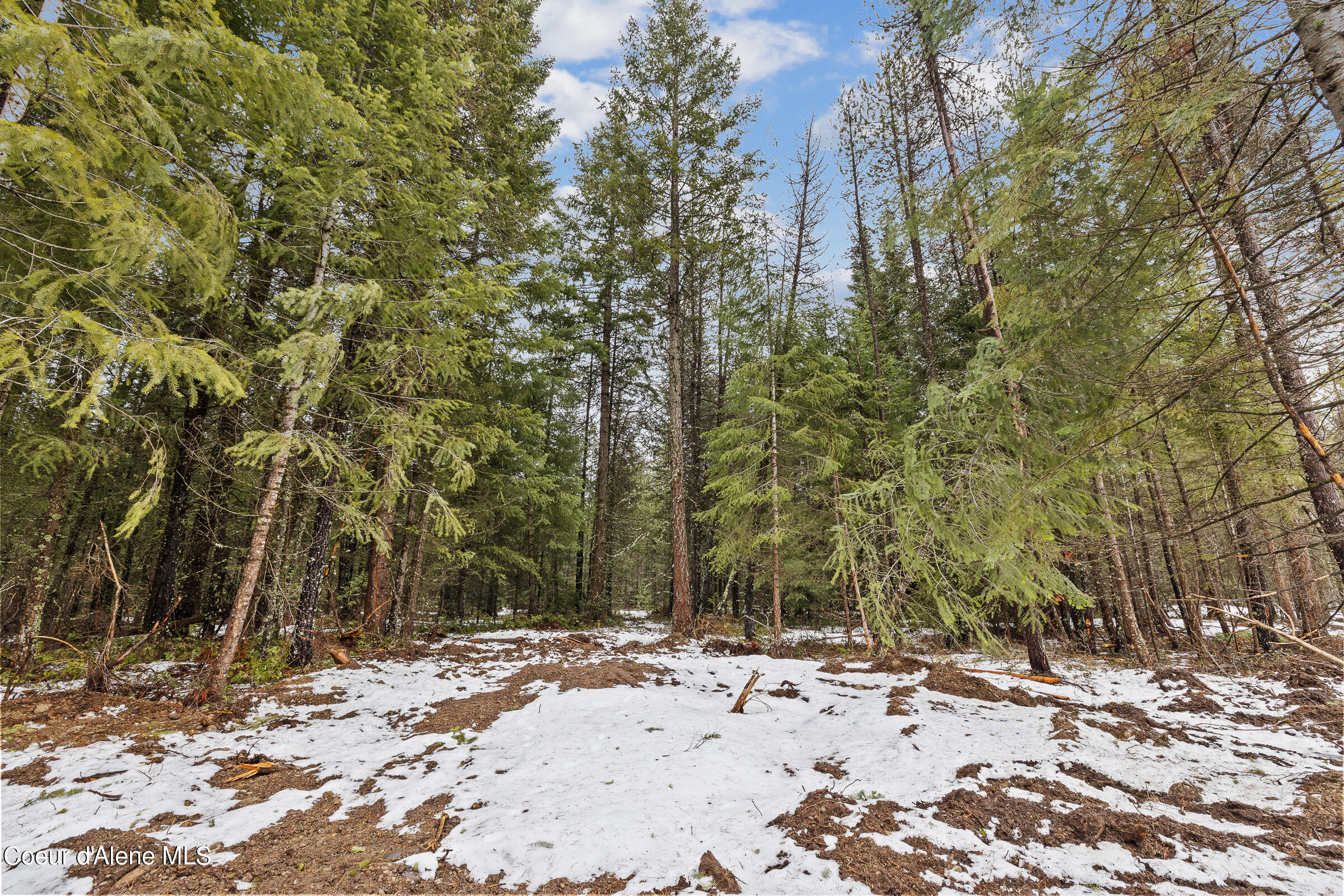 NKA W Sturgeon Rd Lot 4, Rathdrum, Alaska image 10