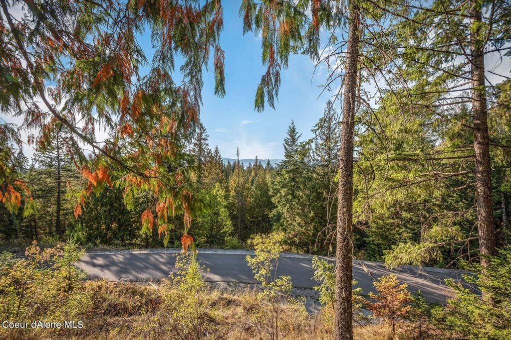 Photo of NNA C5 Idaho Club Drive Drive, Sandpoint, ID 83864 (MLS # 26-8696)