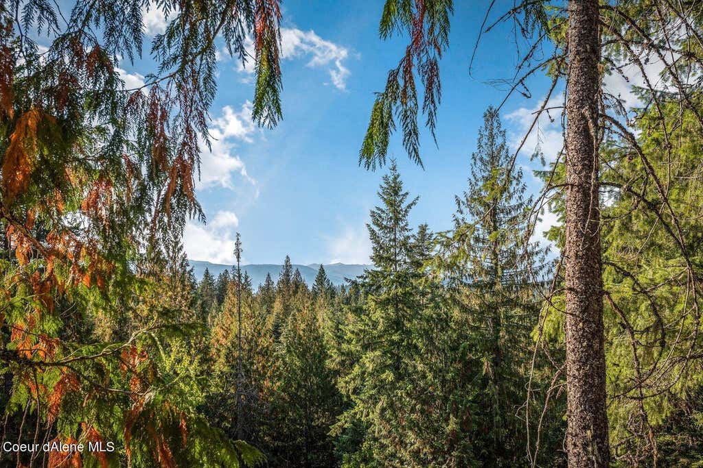 Photo of NNA C5 Idaho Club Drive Drive, Sandpoint, ID 83864 (MLS # 26-8696)
