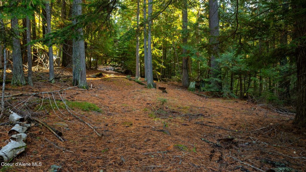 Photo of 9816 Bottle Bay Rd, Sagle, ID 83860 (MLS # 25-5766)